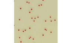 CHROMagar - Campylobacter