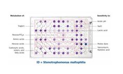 Microbial Identification