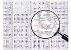 Phenotype MicroArrays for Microbial Cells