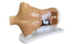Samed - Model LS90 - Colonoscopy-Trainer