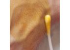 NEX - Preoperative Skin Preparation Applicators
