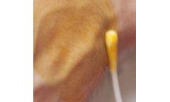 NEX - Preoperative Skin Preparation Applicators