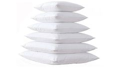 Rajdhani Syntex - Cushion Fillers