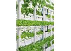 HC - NFT Hydroponic System