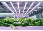 HC - Hydroponic Container Farm