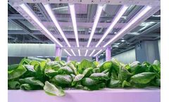 HC - Hydroponic Container Farm