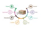 Model SenSATIVAx - DNA Purification Kit