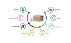 Model SenSATIVAx - DNA Purification Kit