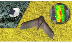 Crop Monitoring