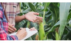 Crop Consulting Services