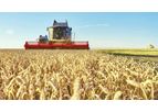 Crop Yield Prediction Service