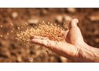 Crop Harvest Monitoring Service