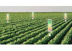 Soil Moisture Mapping Service