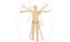Kyoto Kagaku - Model 41945-000 - X-Ray Training Phantom PBU-POSE