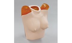Kyoto Kagaku - Model 41337-090 - Breast plate for Chest Phantom N-1 LUNGMAN