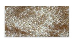 NGO - Ion Exchange Resin