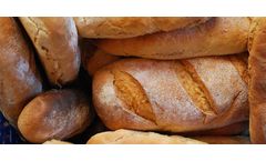 VOC abatement equipments for food & beverage
