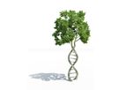 Molecular Biology