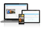 Online Audit Software
