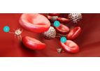 Autologous Cell Therapies