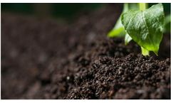 CleanGreen TerraMax - Humic Acids, Cultured Bacteria and Trace Minerals