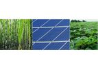 New Energy Services