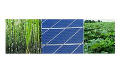 New Energy Services
