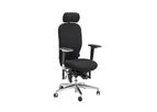 BIOSWING - Model 450/460 iQ - Office Chair