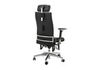 BIOSWING - Model 660/670 iQ - Office Chair