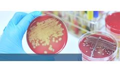 Model S. aureus - Genotyping Kit