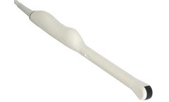 Model Endo probe - Transrectal and Transvaginal