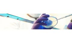 Process Evaluation Service