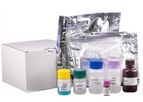 ZenTech - Model NEONATAL TOTAL-T4 - Congenital Hypothyroidism Newborn Screening Test Kit