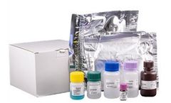 ZenTech - Model NEONATAL TOTAL-T4 - Congenital Hypothyroidism Newborn Screening Test Kit