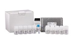 ZenTech - Targeted qPCR SMA for Spinal Muscular Atrophy Newborn Screening