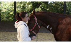 Droper Vet - Presentation - Video