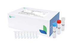 Easydiagnosis - Ureaplasma Urealyticum DNA Real Time Diagnostic Kit