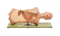 CLA - Model 4 - Hospital Training Dolls for OGI Phantom