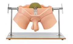 CLA - Model 6 - Urological Practice Model