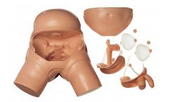 CLA - Model 7 - Catheterisation-Model