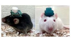 Pinnacle - 3-Channel Wireless EEG/EMG Systems