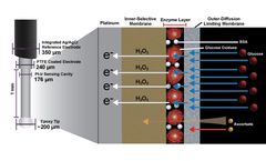 Glucose Biosensor
