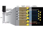 Lactate Biosensor