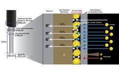 Lactate Biosensor