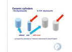 Bioceramic Bone Substitutes