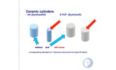 Bioceramic Bone Substitutes