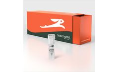 2X YourTaq™ PCR Master Mix