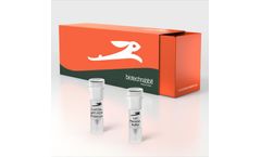 5X CAPITAL™ 1-Step qRT-PCR Probe Master Mix, lyophilized