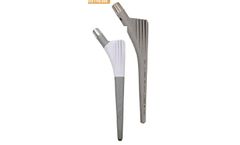 TIPMED - Cementless Modular Straight Stem Hip Prosthesis