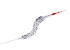 Newtech Insistent - Sirolimus Eluting Stent System